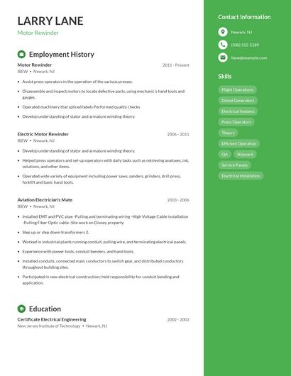 Motor Rewinder Resume