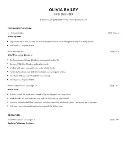 Mud Engineer Resume