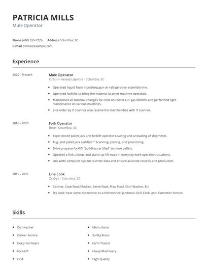 Mule Operator Resume
