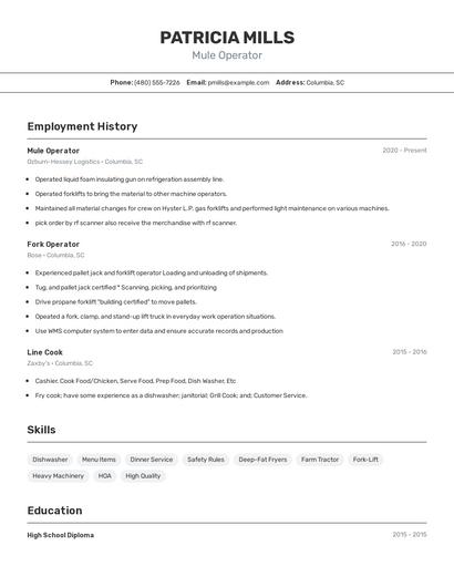 Mule Operator Resume