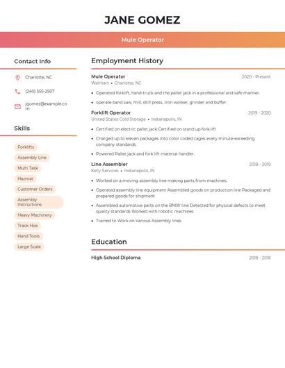 Mule Operator Resume