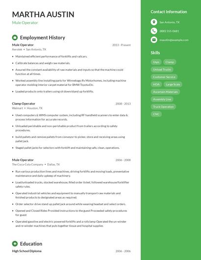 Mule Operator Resume