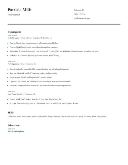 Mule Operator Resume