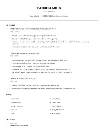 Mule Operator Resume