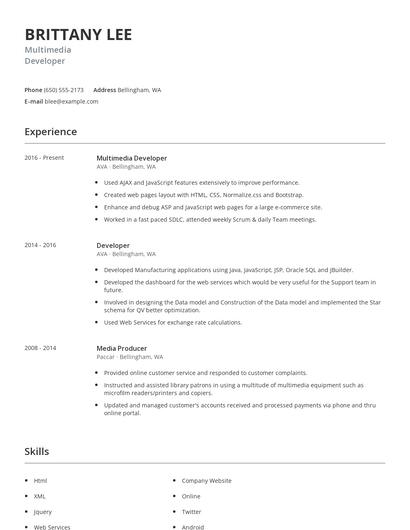 Multimedia Developer Resume