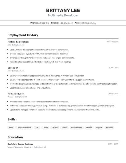 Multimedia Developer Resume
