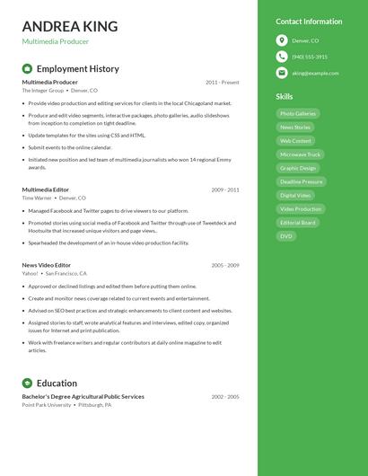 Multimedia Producer Resume