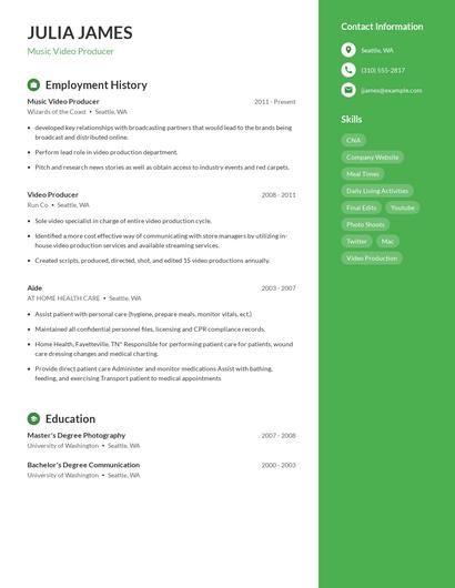 Music Video Producer Resume