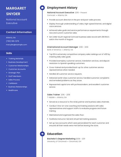 National Account Executive Resume