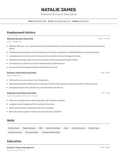 National Account Executive Resume