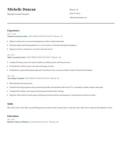 National Account Executive Resume