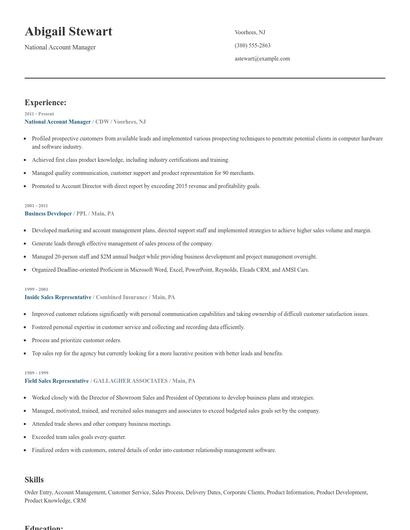National Account Manager Resume