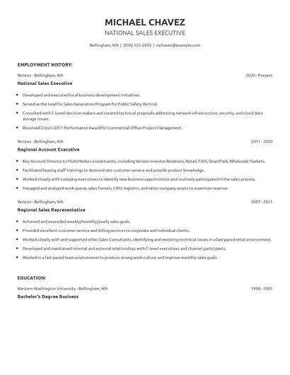 National Sales Executive Resume