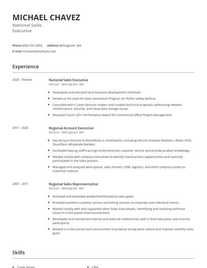 National Sales Executive Resume