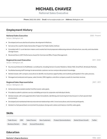 National Sales Executive Resume