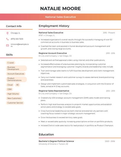 National Sales Executive Resume