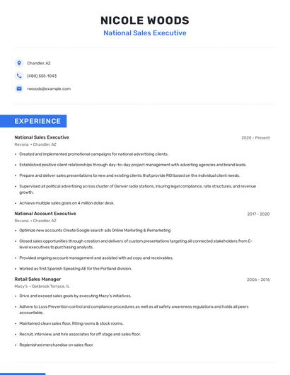 National Sales Executive Resume