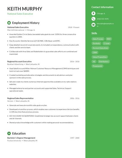 National Sales Executive Resume
