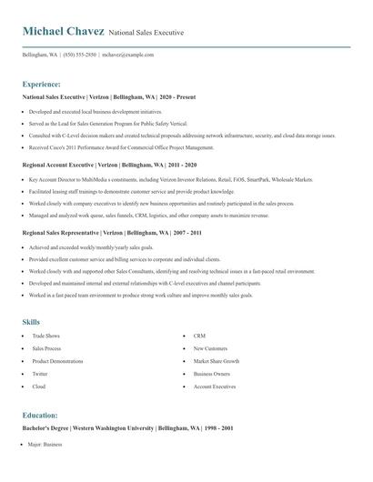 National Sales Executive Resume