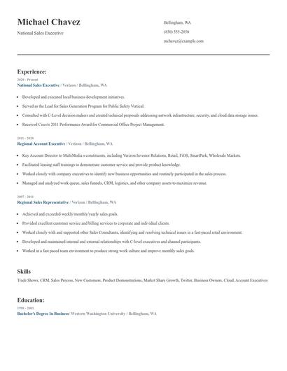 National Sales Executive Resume