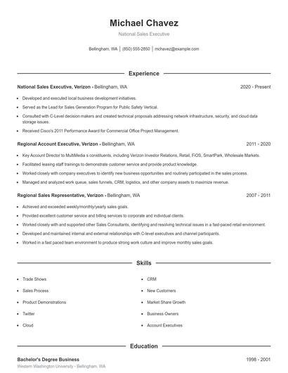 National Sales Executive Resume