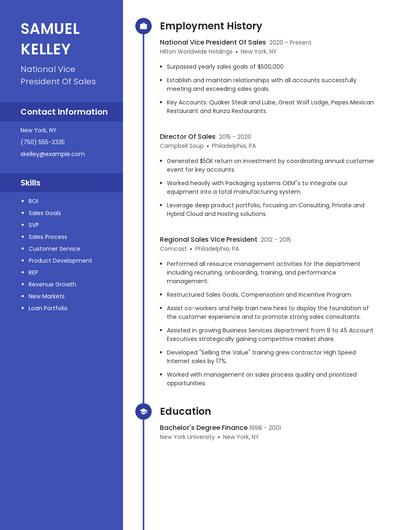 National Vice President Of Sales Resume