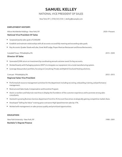 National Vice President Of Sales Resume