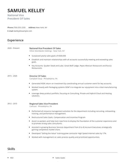 National Vice President Of Sales Resume