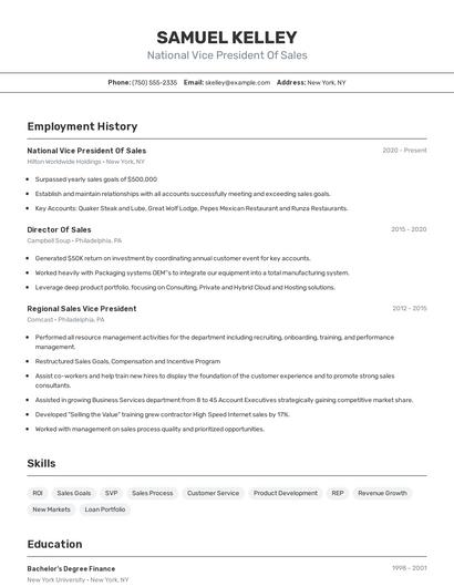 National Vice President Of Sales Resume