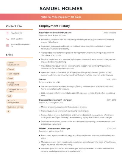 National Vice President Of Sales Resume