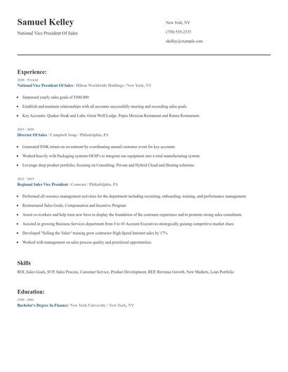 National Vice President Of Sales Resume