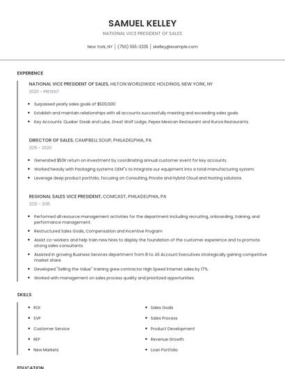 National Vice President Of Sales Resume