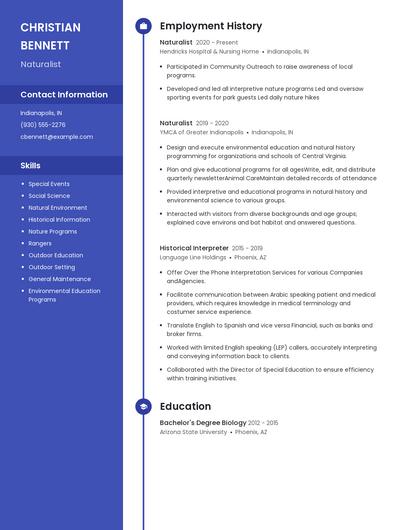 Resume example 4