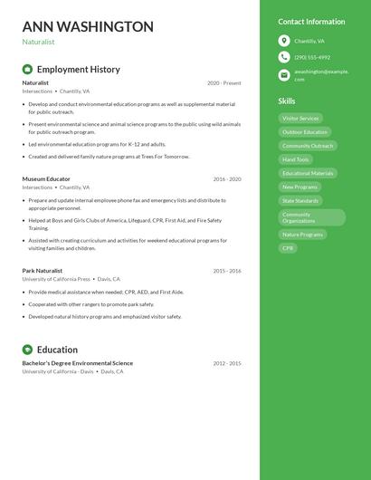 Resume example 5