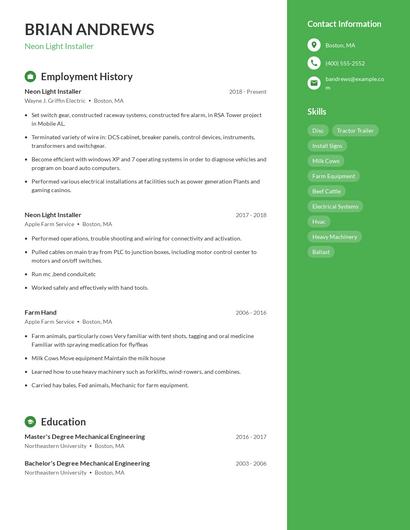 Neon Light Installer Resume
