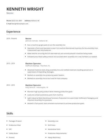 Nester Resume