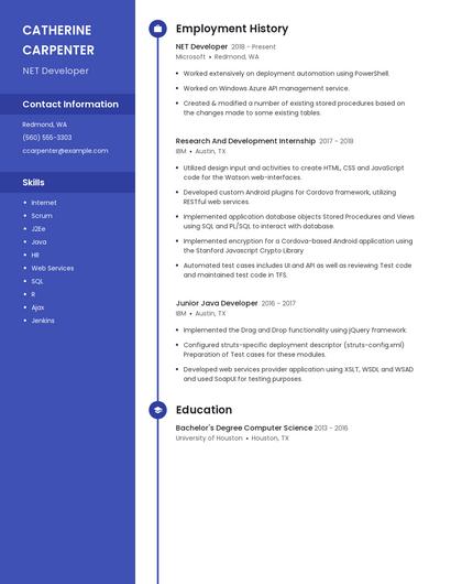 Resume example 5