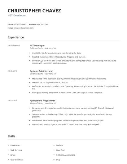NET Developer Resume