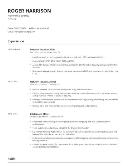 Network Security Officer Resume