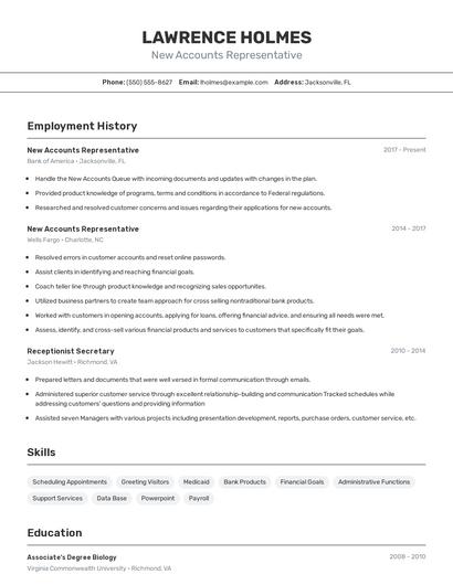 Resume example 2