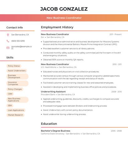 New Business Coordinator Resume
