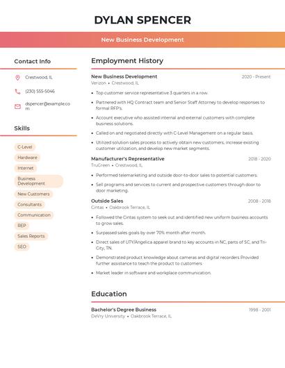 Resume example 3