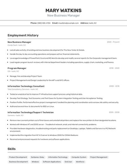 Resume example 2