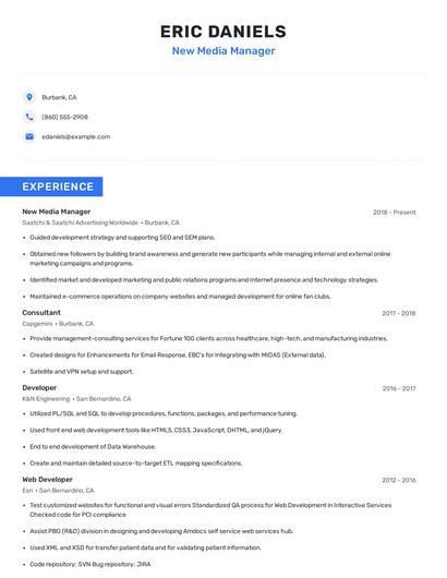 New Media Manager Resume