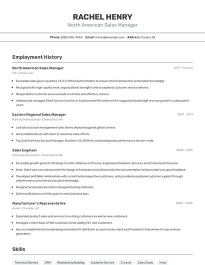 North American Sales Manager Resume