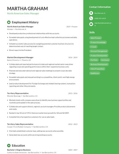 North American Sales Manager Resume