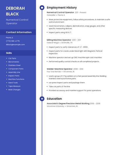 Resume example 4