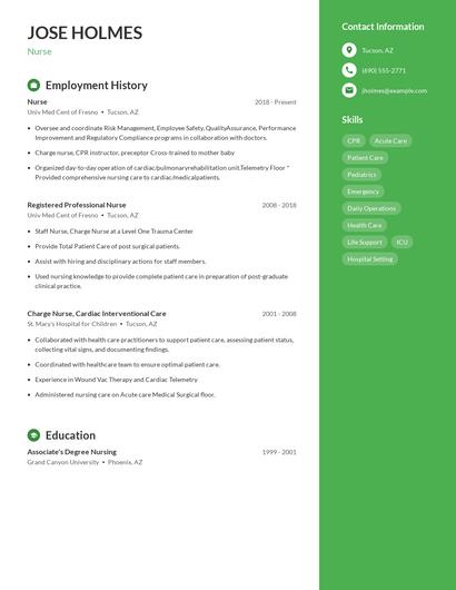 Resume example 4