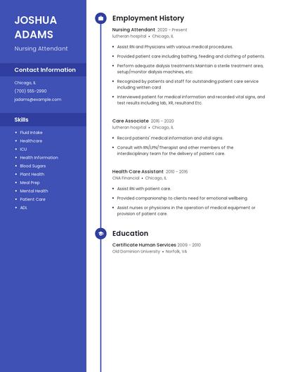 Nursing Attendant Resume