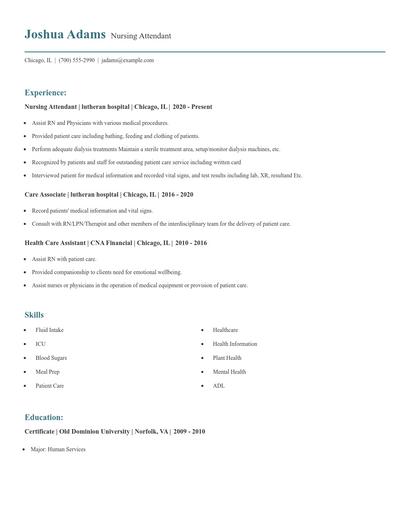 Nursing Attendant Resume